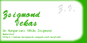 zsigmond vekas business card