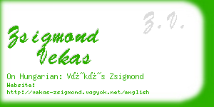 zsigmond vekas business card